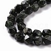 Natural Kambaba Jasper Beads Strands G-G990-B01-4