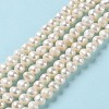 Natural Cultured Freshwater Pearl Beads Strands PEAR-E018-72-2