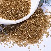MIYUKI Delica Beads SEED-X0054-DB1201-1