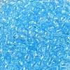 Transparent Colours Glass Seed Beads SEED-P007-02A-10-3