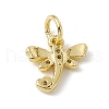 Brass Micro Pave Cubic Zirconia Charms ZIRC-F132-21G-2