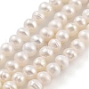 Natural Cultured Freshwater Pearl Beads Strands PEAR-C003-39-2