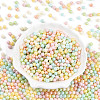 Glass Seed Beads SEED-N007-15A-2