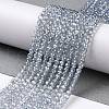 Electroplate Transparent Glass Beads Strands GLAA-H021-01B-FR03-3