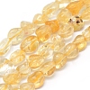 Natural Citrine Beads Strands G-P331-03A-1