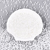 Glass Beads SEED-N007-27G-2