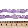 Natural Amethyst Beads Strands G-Q060-E16-5
