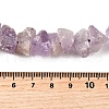 Natural Amethyst Beads Strands G-I283-F24-5