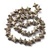 Electroplated Natural Lava Rock Beads Strands G-A251-C01-01B-1