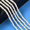 Natural Cultured Freshwater Pearl Beads Strand PEAR-N015-03B-6