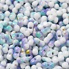 Baking Paint Glass Seed Beads X-SEED-F005-01A-09-3