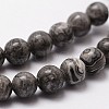 Natural Map Stone/Picasso Stone/Picasso Jasper Round Beads Strands G-E329-10mm-47-5