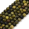Natural Yellow Turquoise(Jasper) Beads Strands G-F591-25-10mm-2