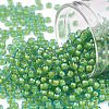 TOHO Round Seed Beads X-SEED-TR08-0307-1