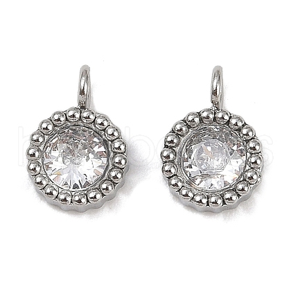 304 Stainless Steel Micro Pave Cubic Zirconia Charms STAS-K302-01D-P-1
