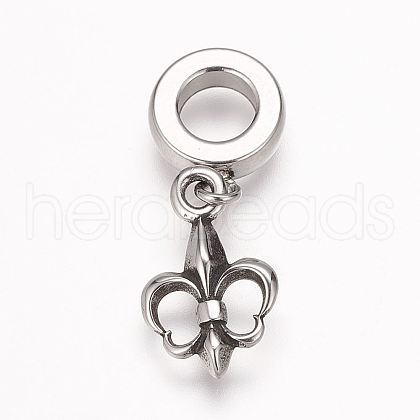 304 Stainless Steel European Dangle Charms X-OPDL-K001-08AS-1