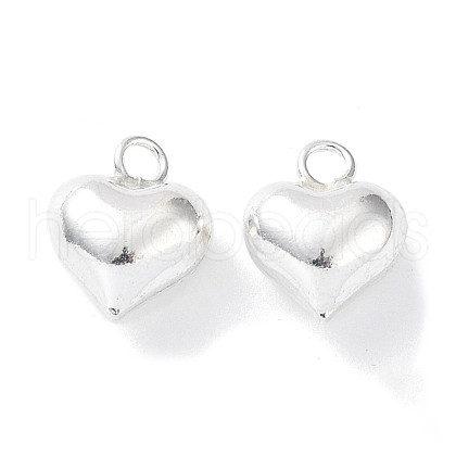 925 Sterling Silver Charms STER-H106-01A-S-1