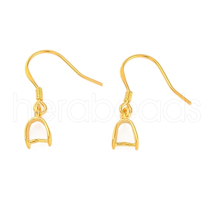 925 Sterling Silver Earring Hooks Findings STER-I014-28G-1