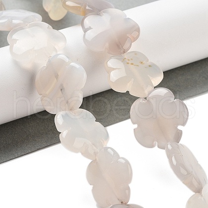 Natural White Agate Beads Strands G-F769-G01-02-1