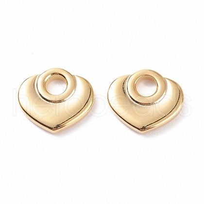 304 Stainless Steel Charms STAS-B024-97G-02-1