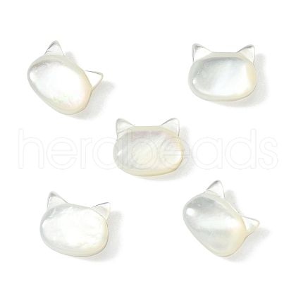 5Pcs Natural White Shell Beads BSHE-CJ0001-07-1