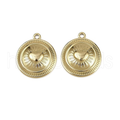 304 Stainless Steel Pendants STAS-D363-02G-1