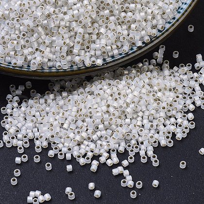 MIYUKI Delica Beads SEED-X0054-DB0221-1
