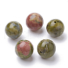 Natural Unakite Beads G-S288-02-10mm-2