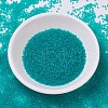 MIYUKI Delica Beads SEED-X0054-DB0786-2