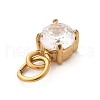 304 Stainless Steel Micro Pave Cubic Zirconia Pendants STAS-R167-01B-G-2