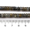 Natural Labradorite Beads Strands G-Z006-C52-5