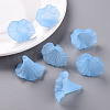 Transparent Acrylic Beads BSF796-C27-8