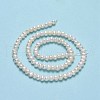 Natural Cultured Freshwater Pearl Beads Strands PEAR-F018-05-01-3