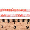 Dyed Natural Trochid Shell/Trochus Shell Beads Strands SSHEL-T017-13D-4