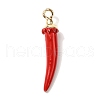 Opaque Resin Pendants RESI-V004-01A-1