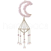 Natural Rose Quartz & Crystal Quartz Hanging Ornaments PW-WG53972-03-1