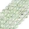 Natural Prehnite Beads Strands G-F790-H03-03-2