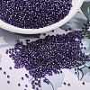 MIYUKI Delica Beads X-SEED-J020-DB1756-1