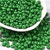 Baking Paint Glass Seed Beads X1-SEED-B001-02A-05-1