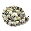 Faceted Natural Fire Crackle Agate Beads Strands G-F447-12mm-J01-3