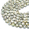 Natural Sesame Jasper Beads Strands G-C116-A141-01-3