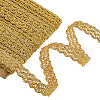 11M Polyester Wavy Lace Ribbon OCOR-WH0088-26B-1