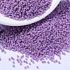 MIYUKI Delica Beads SEED-JP0008-DB2136-1