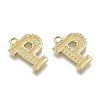 Alloy Pendants PALLOY-N157-002P-NR-2