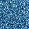MIYUKI Delica Beads SEED-X0054-DB1709-3