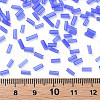 Transparent Glass Bugle Beads SEED-N005-001-C03-4