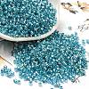 Glass Seed Beads X1-SEED-S042-04A-13-1