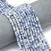 Natural Blue Spot Jasper Beads Strands G-P575-A43-4x2mm-1