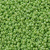 MIYUKI Round Rocailles Beads X-SEED-G007-RR0479-3