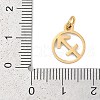 Ion Plating(IP) 304 Stainless Steel Charms STAS-R135-05G-08-3